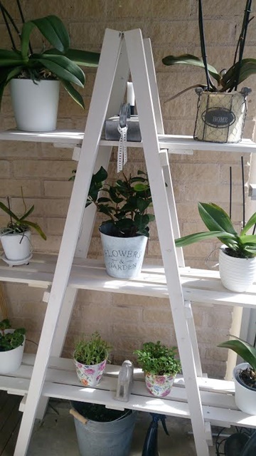 odlingshylla-balkong-orkideer