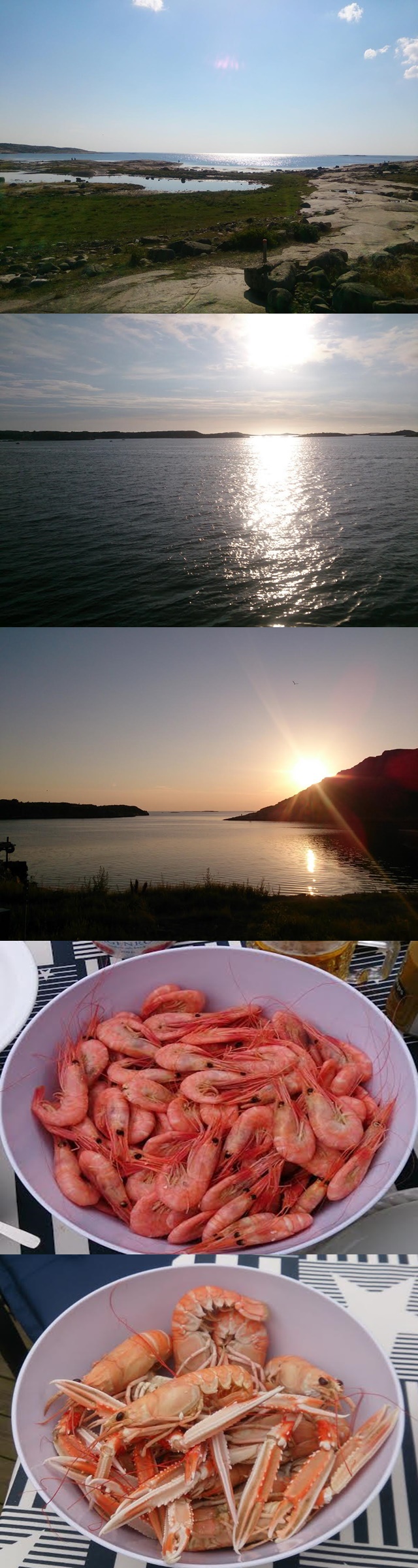 bohuslän-collage-skaldjur-solnedgång