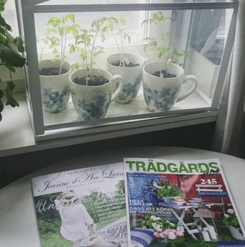 odling_miniväxthus_tidningar_inspiration